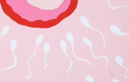Difficultés à la procréation, infertilité : l'étiopathie en toute confiance